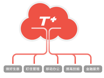 T 进销存管理软件